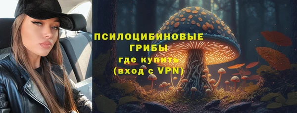 apvp Осташков