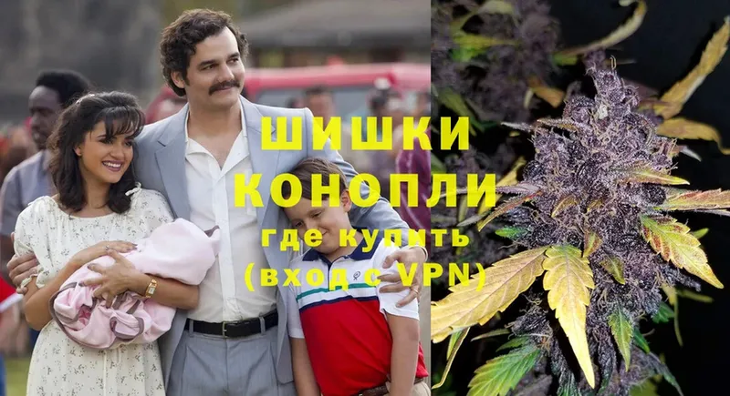 МАРИХУАНА SATIVA & INDICA  Каргат 